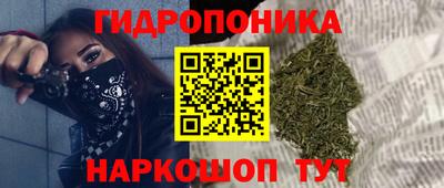 крисы Сланцы