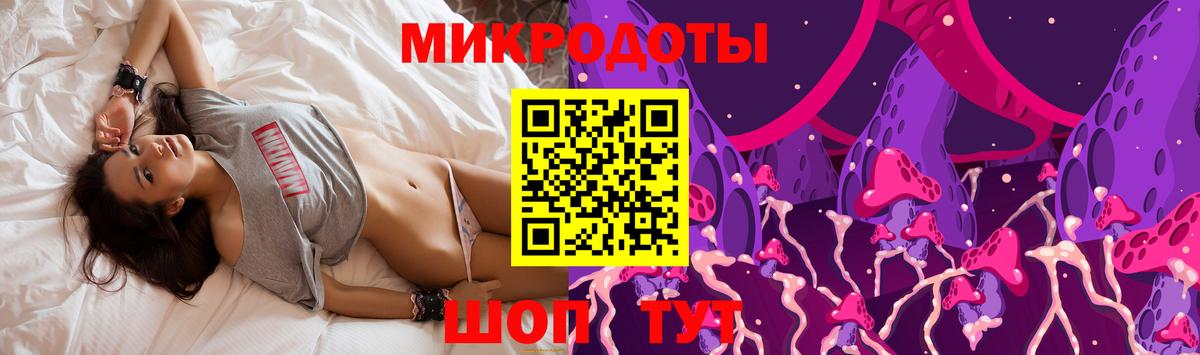 Чайковский  Галлюциногенные грибы Cubensis  что такое наркотик  Вход с VPN 