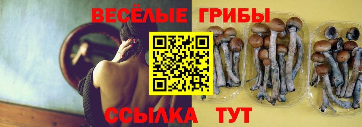 Галлюциногенные грибы GOLDEN TEACHER Чайковский